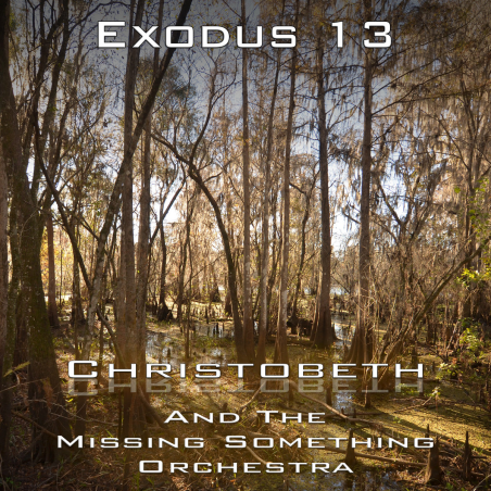 Exodus Chapter 13