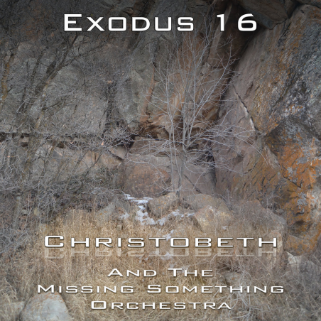 Exodus Chapter 16