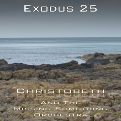 Exodus Chapter 25