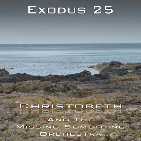 Exodus Chapter 25