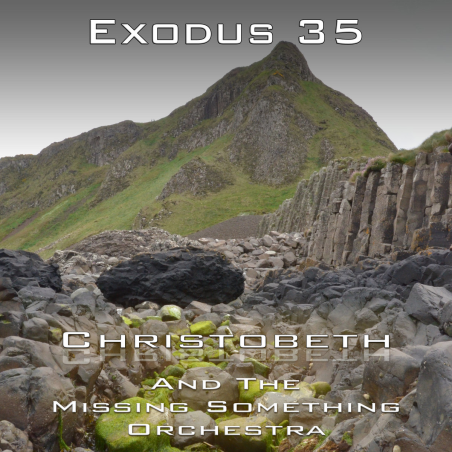 Exodus Chapter 35