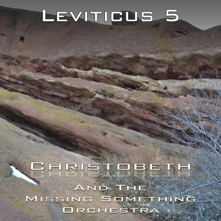 Leviticus Chapter 5