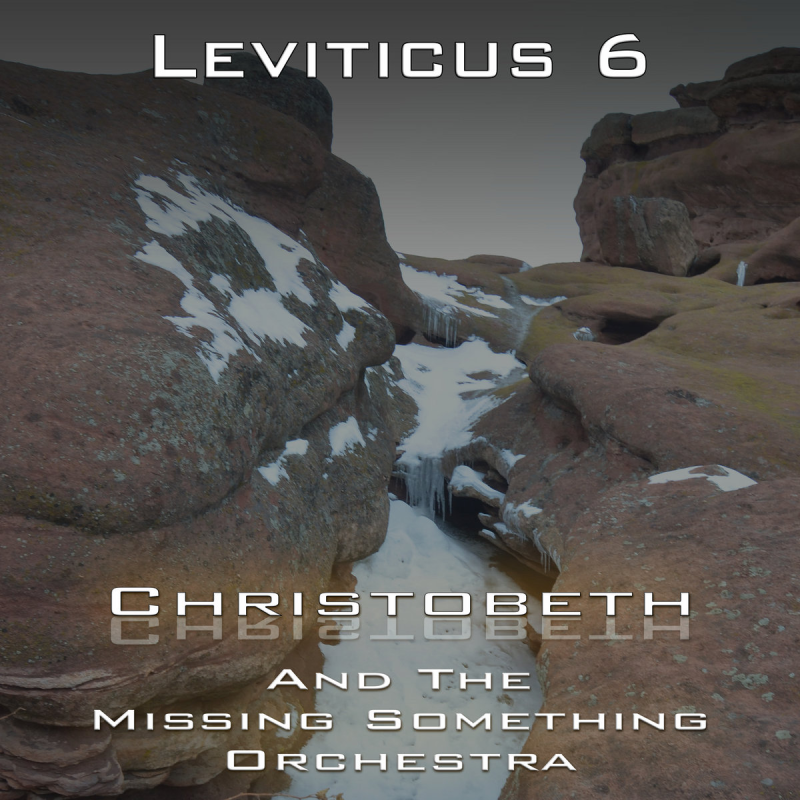 Leviticus Chapter 6
