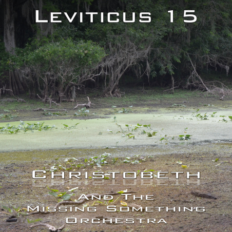 Leviticus Chapter 15