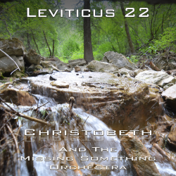 Leviticus Chapter 22