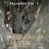 Numbers Chapter 1