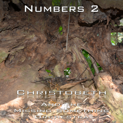 Numbers Chapter 2