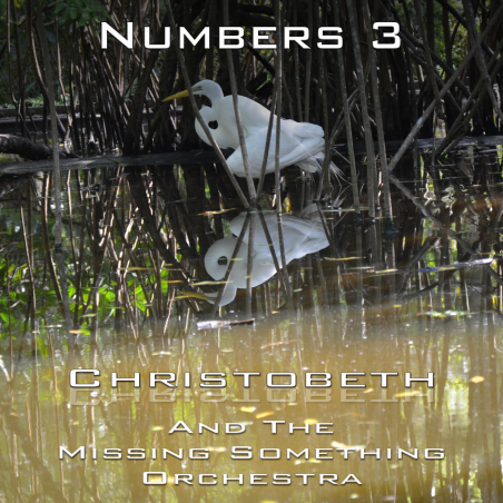Numbers Chapter 3