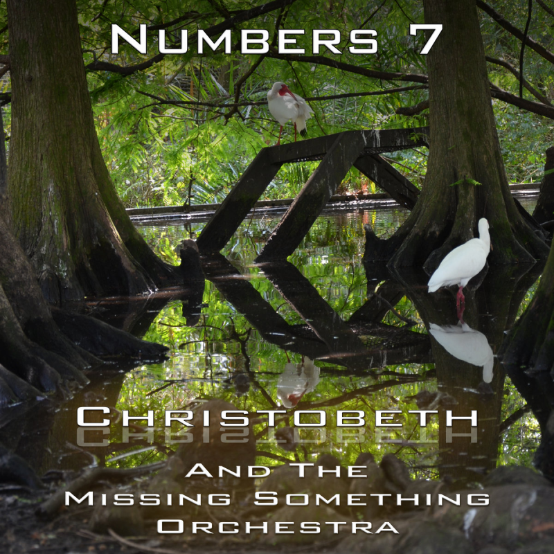Numbers Chapter 7