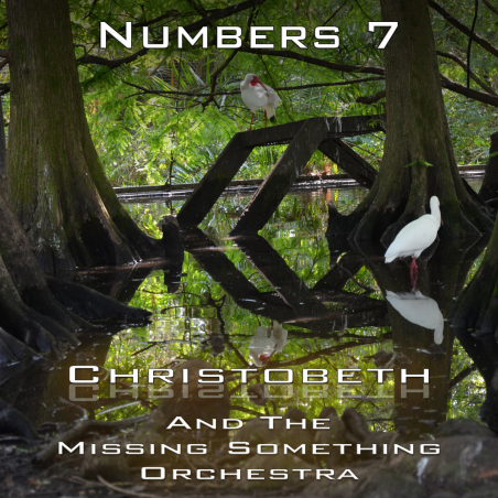 Numbers Chapter 7