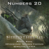 Numbers Chapter 20