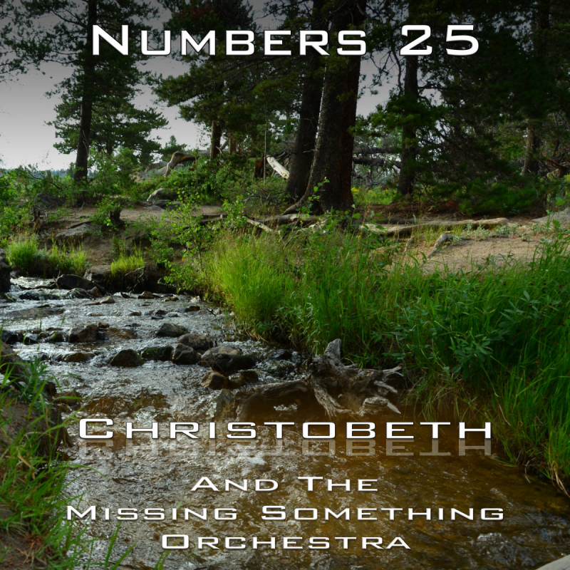 Numbers Chapter 25