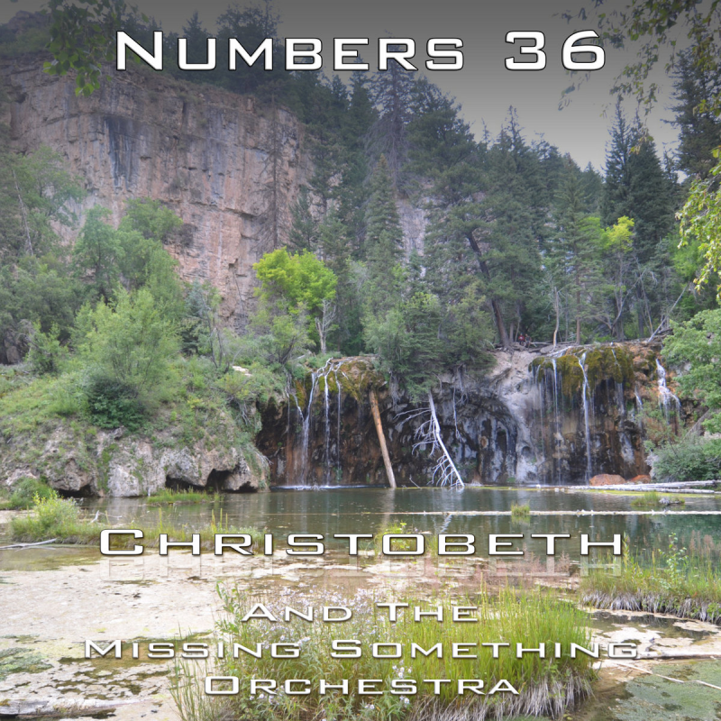 Numbers Chapter 36