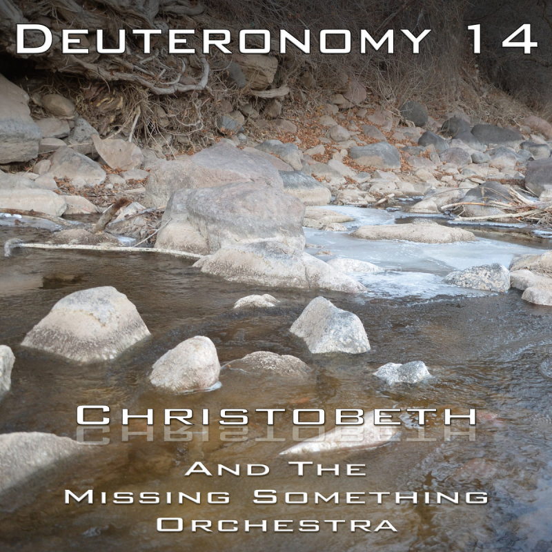 Deuteronomy Chapter 14