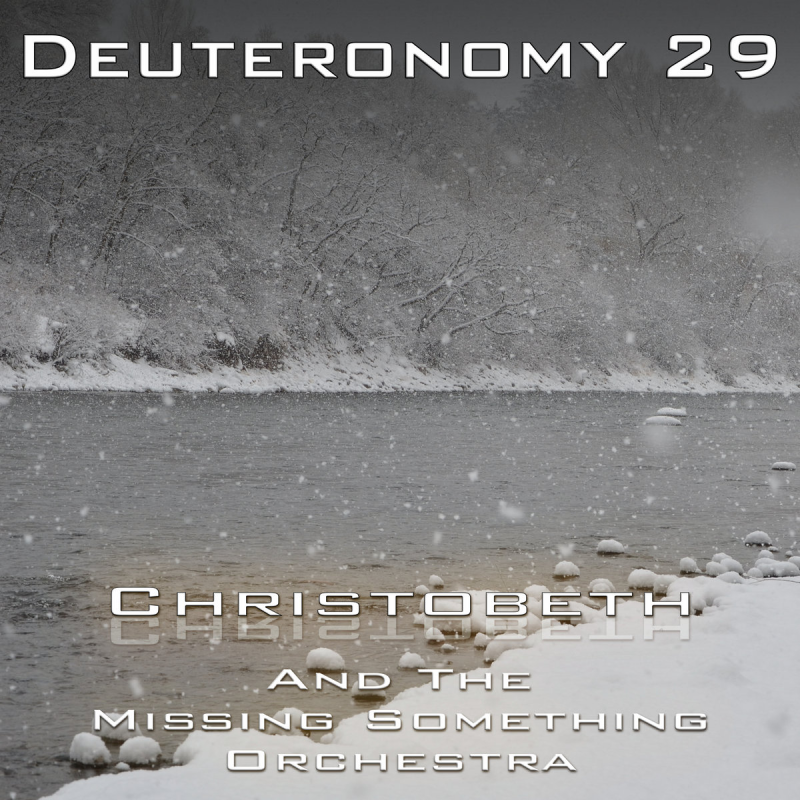 Deuteronomy Chapter 29
