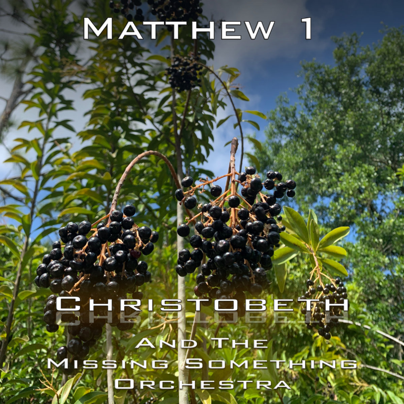 Matthew Chapter 1