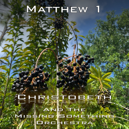 Matthew Chapter 1