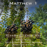 Matthew Chapter 1
