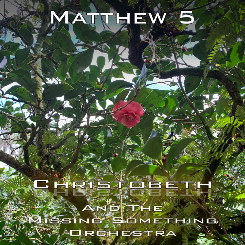 Matthew Chapter 5