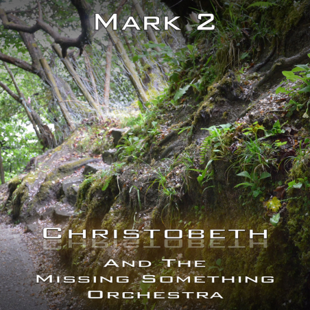 Mark Chapter 2