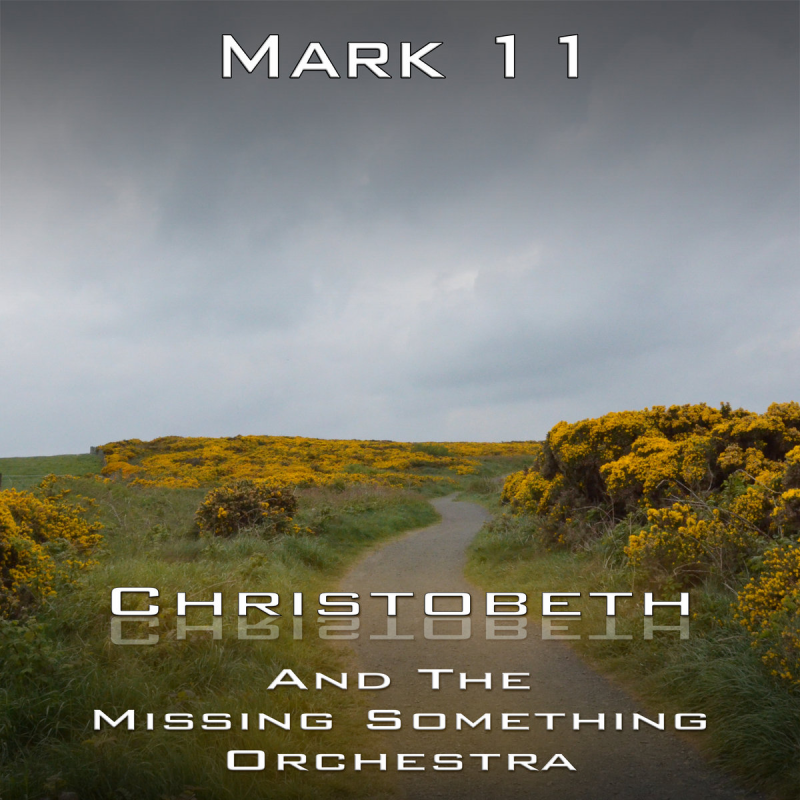 Mark Chapter 11