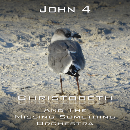 John Chapter 4
