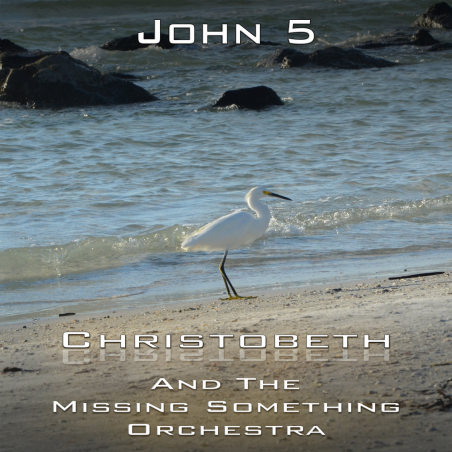 John Chapter 5