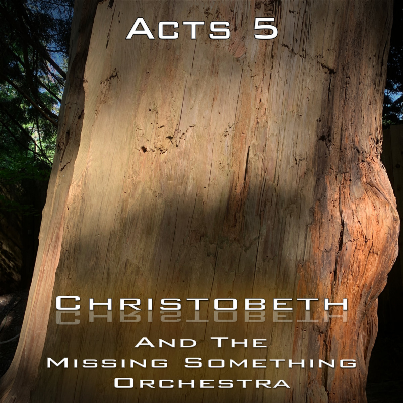 Acts Chapter 5