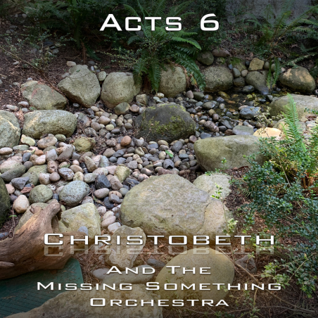 Acts Chapter 6