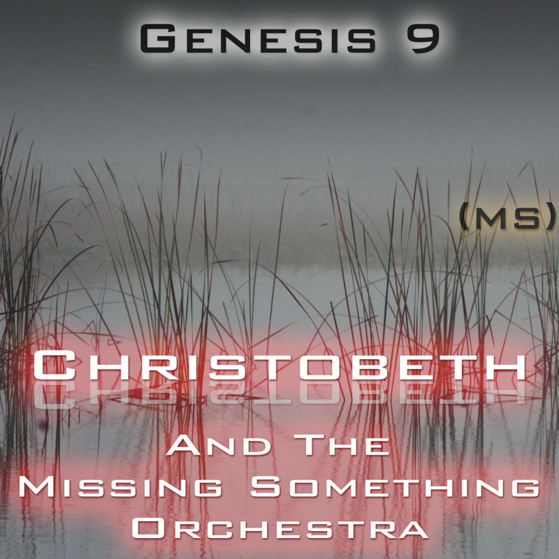Genesis Chapter 9