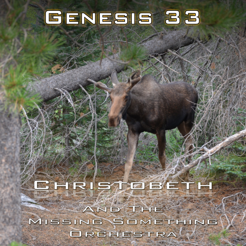 Genesis Chapter 33