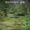 Genesis Chapter 42