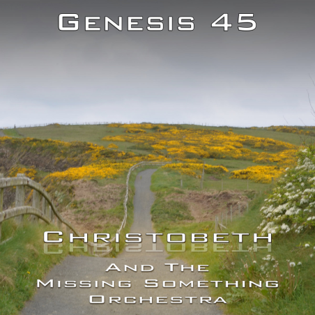 Genesis Chapter 45