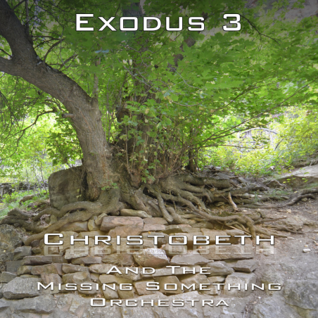 Exodus Chapter 3