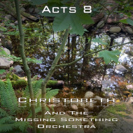Acts Chapter 8