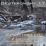 Deuteronomy Chapter 17