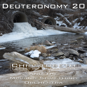Deuteronomy Chapter 20
