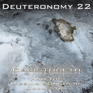 Deuteronomy Chapter 22