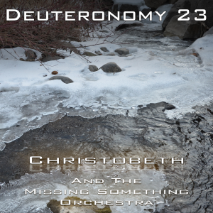 Deuteronomy Chapter 23
