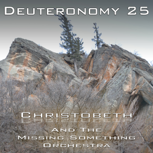Deuteronomy Chapter 25