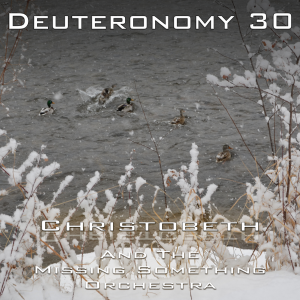 Deuteronomy Chapter 30
