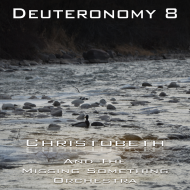 Deuteronomy Chapter 8