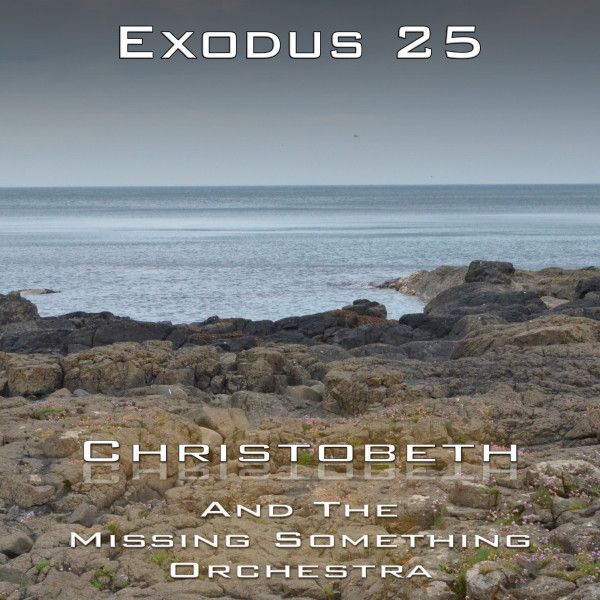 Exodus Chapter 25