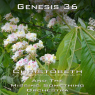 Genesis Chapter 36