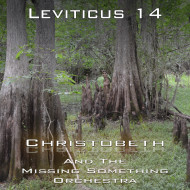 Leviticus Chapter 14