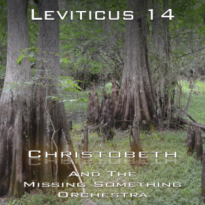 Leviticus Chapter 14