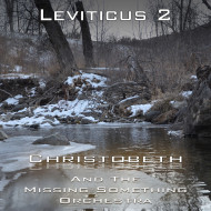 Leviticus Chapter 2