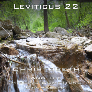 Leviticus Chapter 22