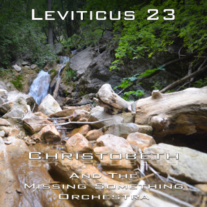 Leviticus Chapter 23