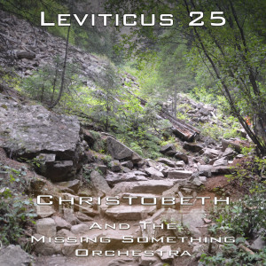 Leviticus Chapter 25